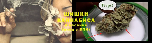 МДПВ Богородицк