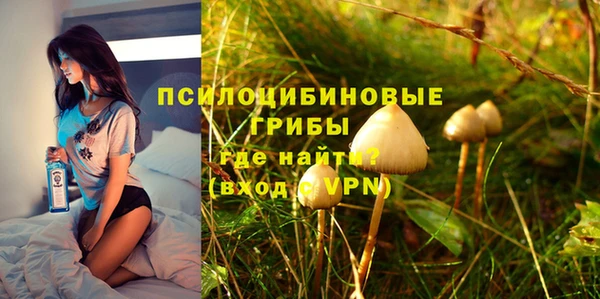 прущий лед Богородск