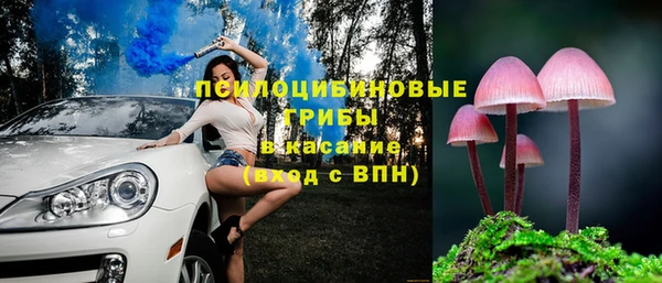 apvp Богданович