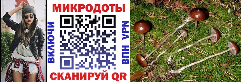 Галлюциногенные грибы GOLDEN TEACHER  Моршанск 