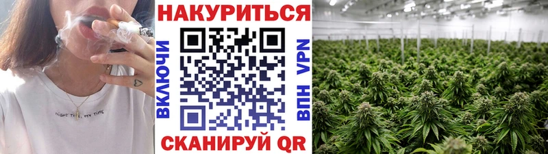 Канабис SATIVA & INDICA Моршанск